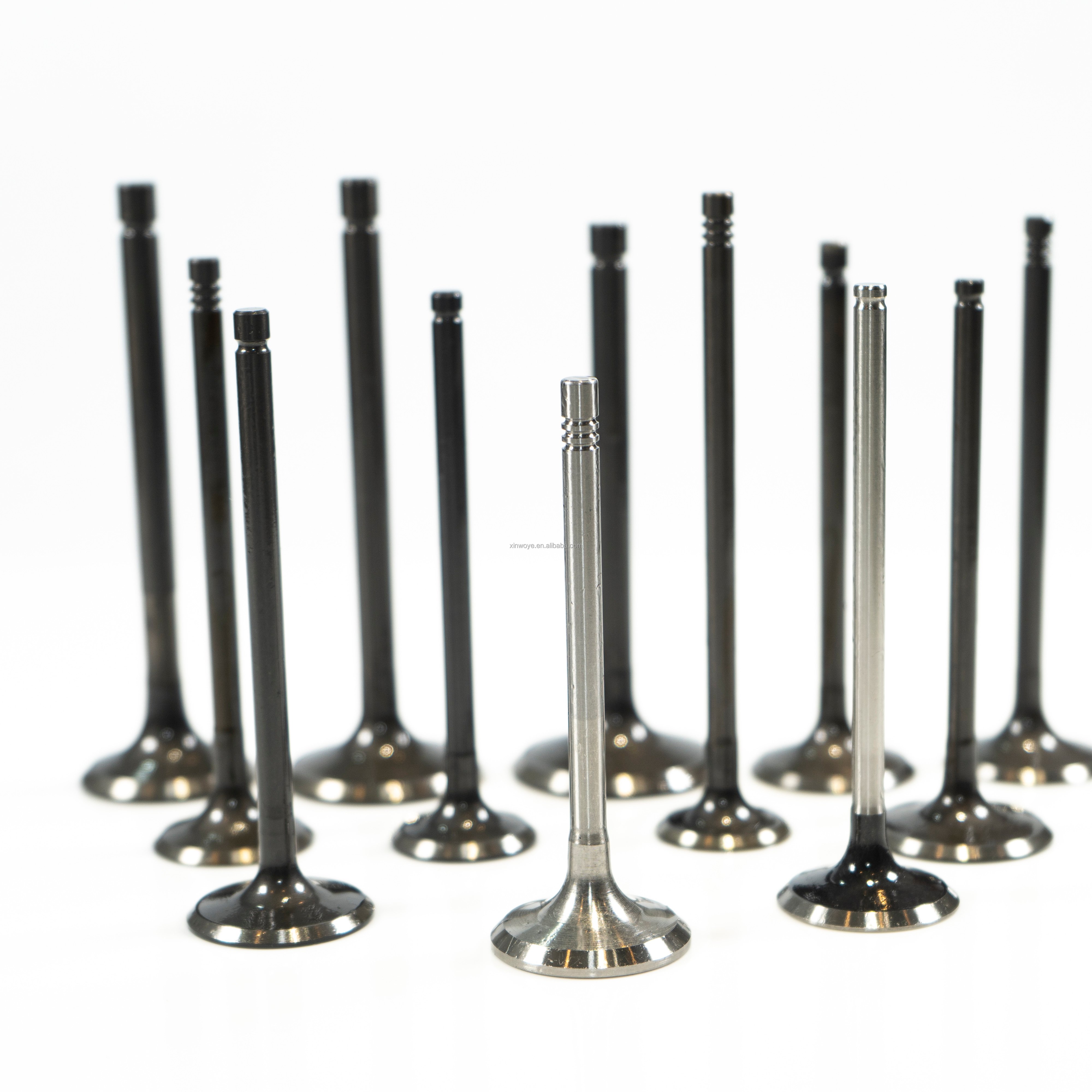 Factory Direct Sales Custom Wholesale All Valve High Quality and Resistance Engine Valves OEM 643474 641302 642890 for Opel